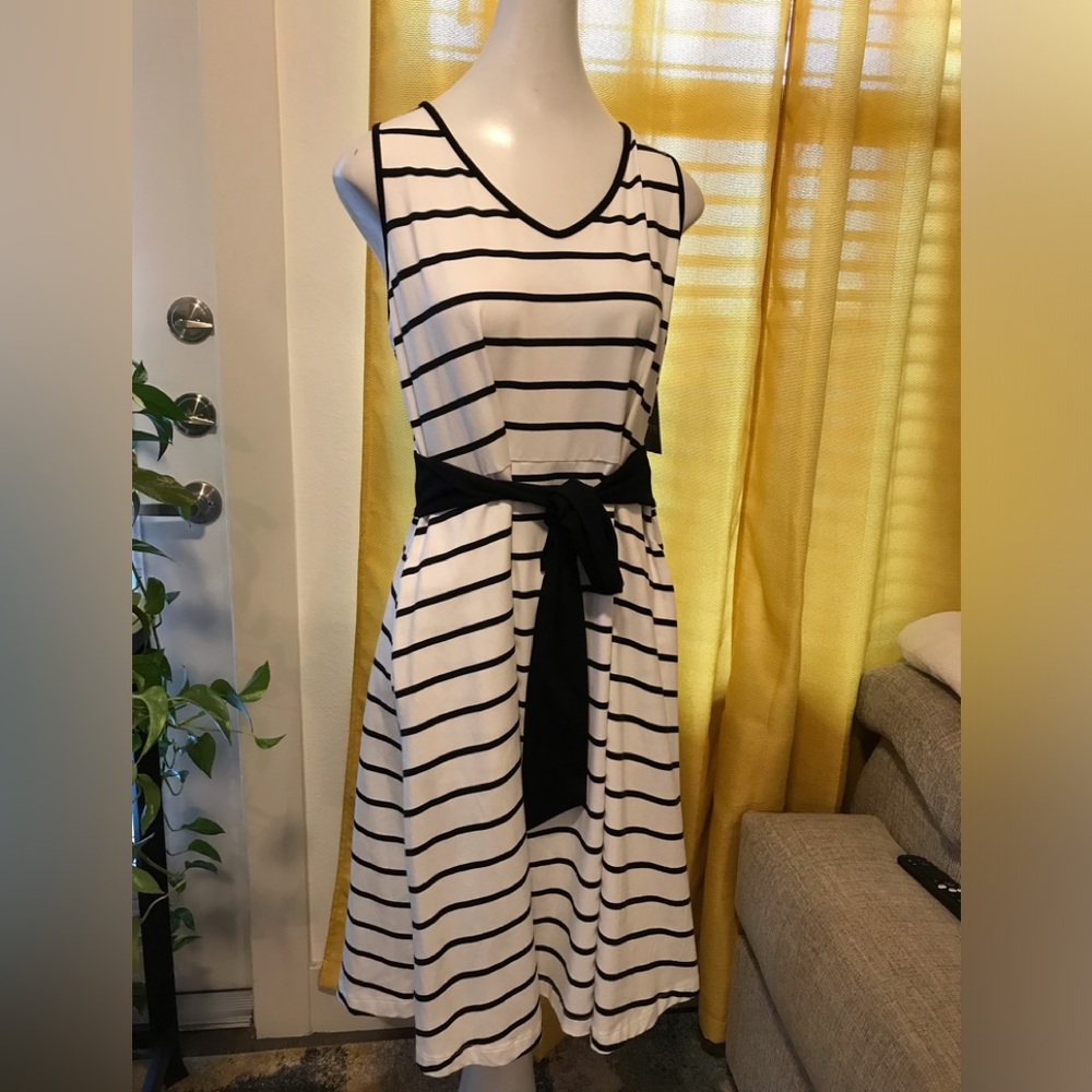 NWT- APT.9…Black &White Striped Dress